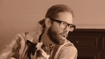 Get The Money Dog GIF by Taylor Hawkins