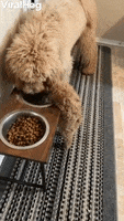 200.gif?cid=fc005b08f63f1fb15c408c24c521a72d5b78244f9fbf0a15&rid=200.gif&ct=g
