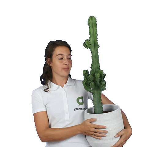 plantsome Sticker