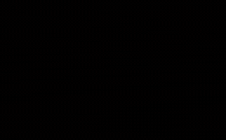 Dieuredieuf GIF