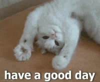 Have A Great Day GIFs - Get the best GIF on GIPHY