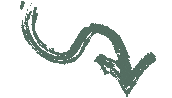 Verde Changemaker Sticker by Proyecto arquimedes