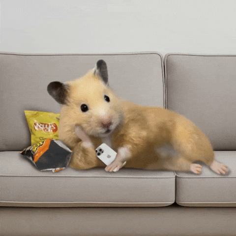 Look See GIF