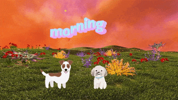 Morning GIF