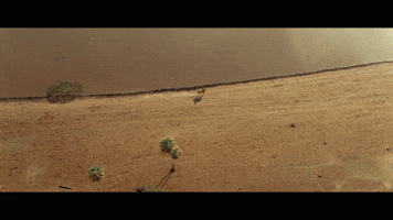 Abubuya GIF