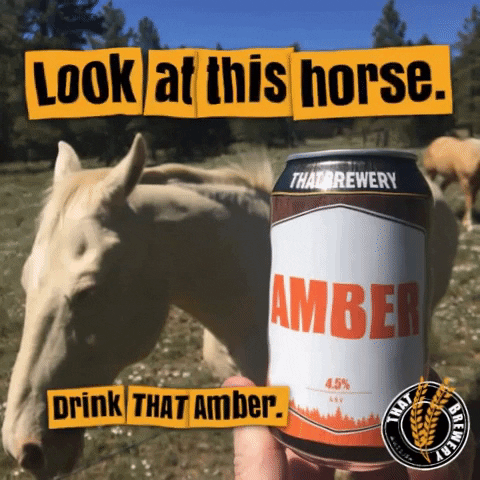 THAT Brewery GIF