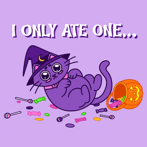 Trick Or Treat Oops GIF by Spooks the Cat