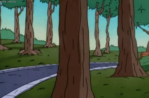 Hide Seek GIF - Find & Share on GIPHY