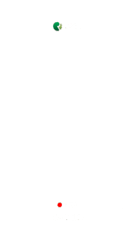 Camera Recording Sticker by Sementes Roos