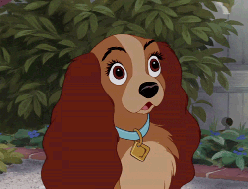 Lady from Lady and the Tramp Quotes