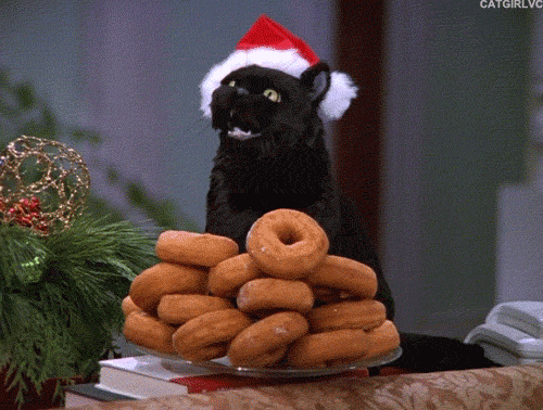 Sabrina The Teenage Witch Cat GIF - Find & Share on GIPHY