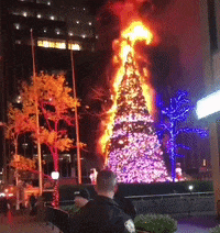 200w.gif?cid=6c09b9524w13o9mgfhz2bhnw47i