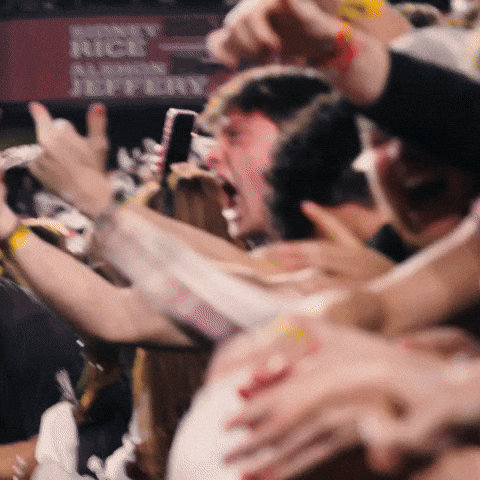 South Carolina Football GIF by Gamecock Athletics