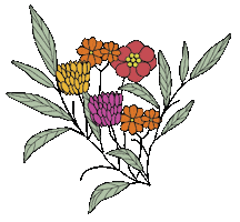 Sage Design and Co Sticker