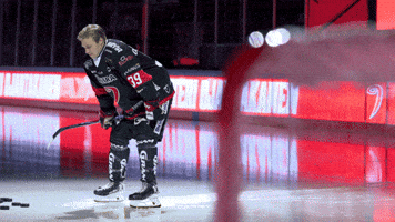 Goal Hockey GIF by JYP