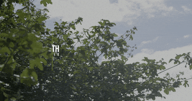 True North Efterskole GIF