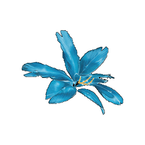 Sudouestcreations Sticker