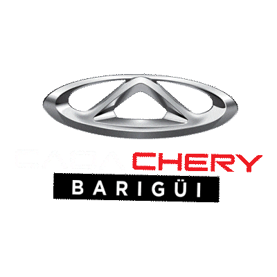 Hyundai Barigui Sticker