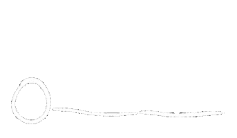 Sarah Kitterman Sticker