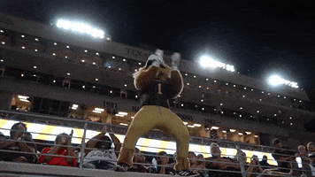 Sports gif. Low shot looking up at a Texas State Bobcats mascot standing on the edge of the bleachers in a power stance, clapping its hands. 