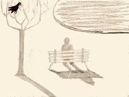 Black Bird Dreaming GIF by Barbara Pozzi