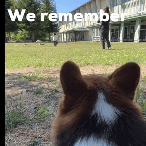 Dog We Remember GIF