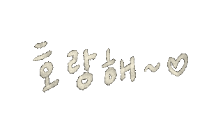 세븐틴 Carat Sticker