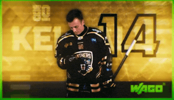 Ice Hockey Panthers GIF