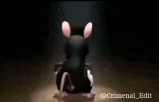Mouse GIF
