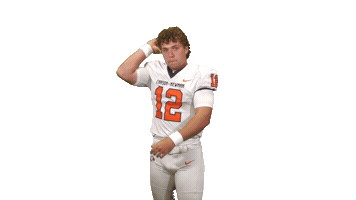 Cnfb26 Sticker by Carson-Newman Athletics