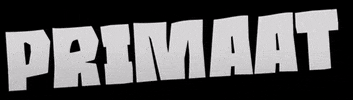 Primaat GIF