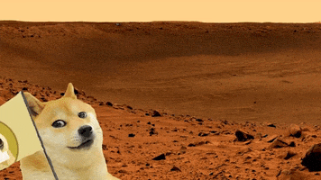 Doge GIF