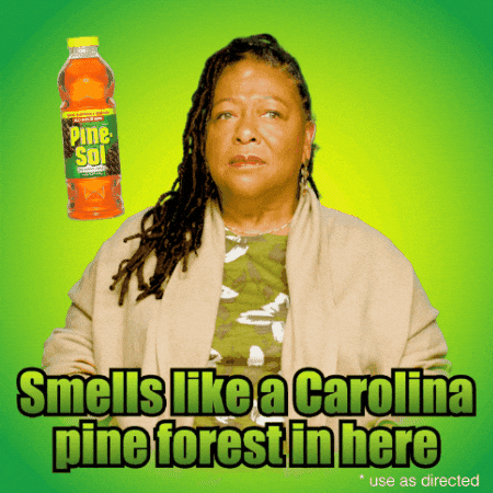 Point Smell GIF by Pine-Sol