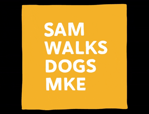 Weird Walking Dog GIF - Weird WalkingDog Funny - Discover & Share
