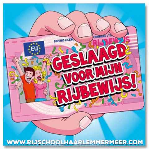 Rijschool Haarlemmermeer GIF