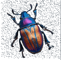 Agencia Publicidade Sticker by OMZ