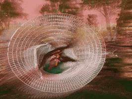 Summer Florida GIF by BB