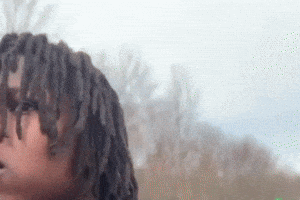 Tung Tung Instagram GIF