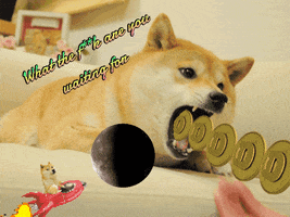 Doge GIF