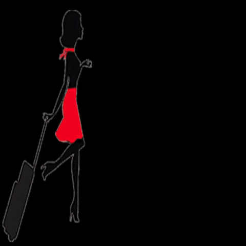 The Travel Expert GIF