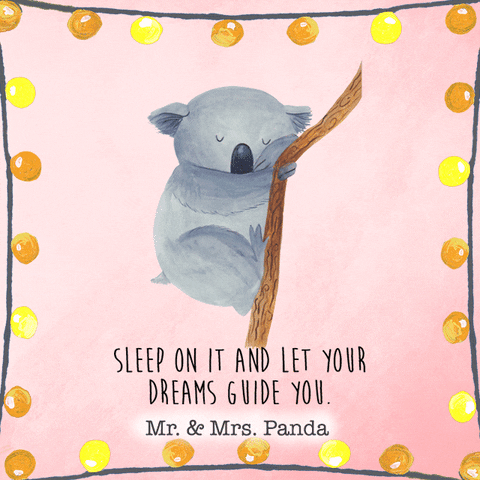 Koala Bear Sleeping GIF by Mr. & Mrs. Panda