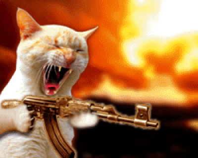 Cat Gun GIF - Find & Share on GIPHY