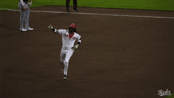 Baseball Mlb GIF by Cincinnati Reds
