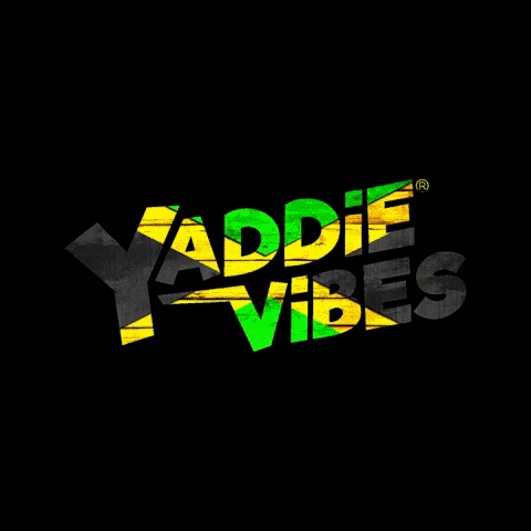 Bob Marley Dance GIF by yaddievibes