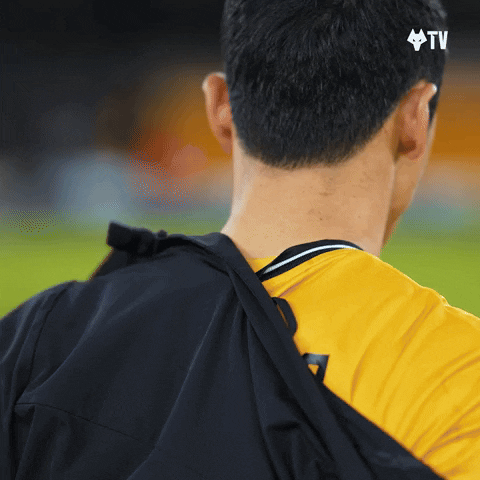 Im Ready Premier League GIF by Wolves