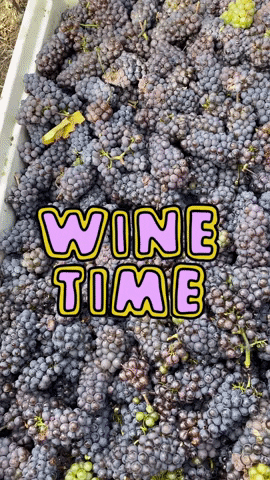 Wine Time GIF by Crystal Hills Organics