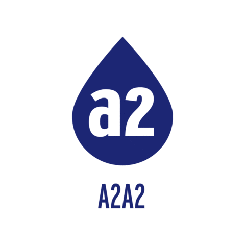 SemexDeutschland Sticker