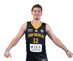 Basket Allard Sticker by Stade Rochelais