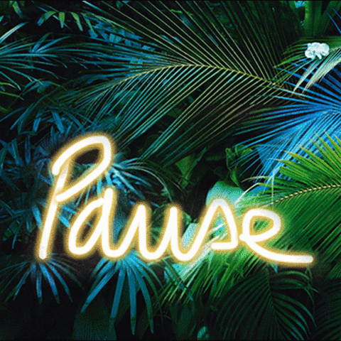 florencetadjeddine  GIF