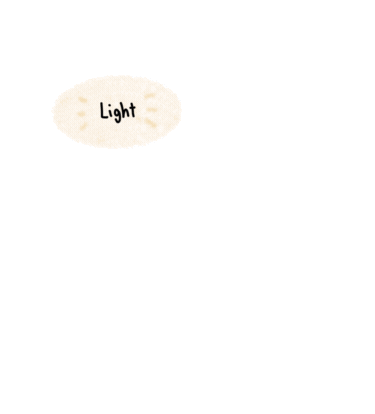 Camera Smile Sticker